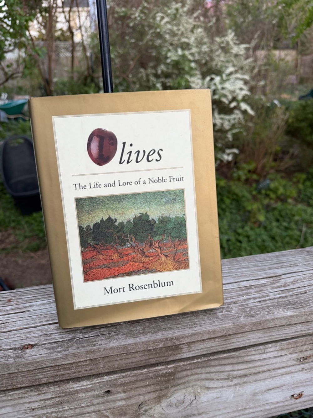 Olives The Life and Lore  of a Noble Fruit 1996 First Edition Mort Rosenblum